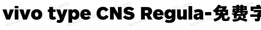 vivo type CNS Regula字体转换